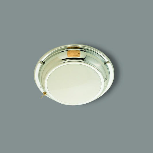 Anne Stainless Steel
