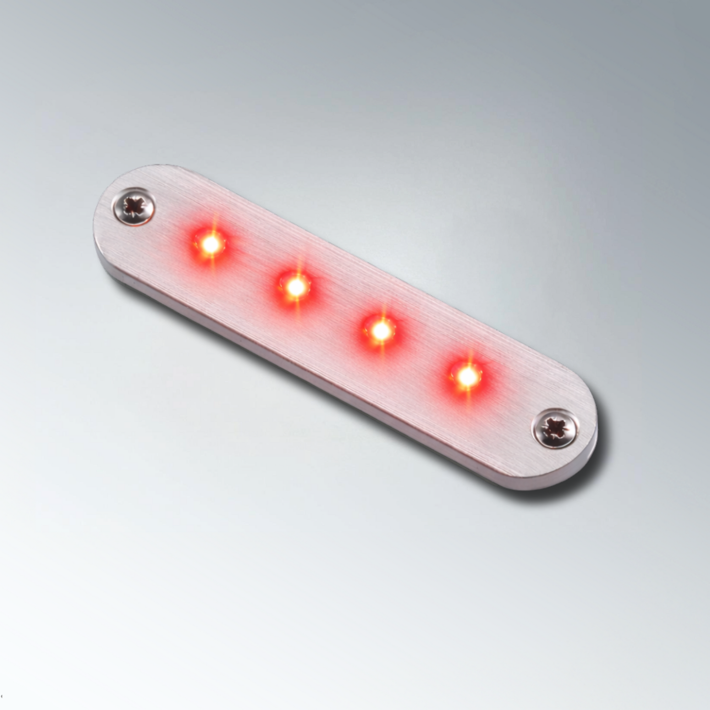 Lampe de courtoisie à LED série 1019 12 V Titan Aluminium Lumière blanche