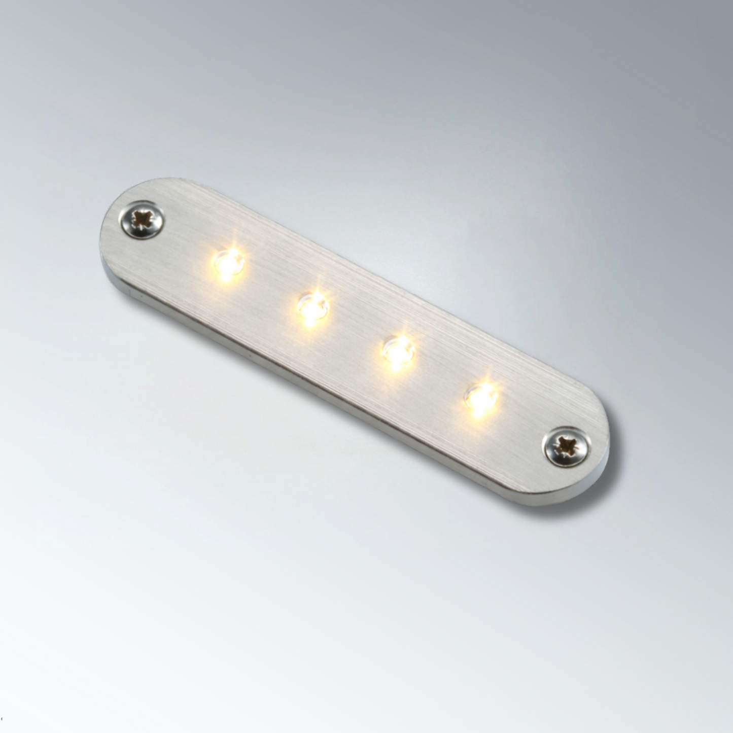 Lampe de courtoisie à LED série 1019 12 V Titan Aluminium Lumière blanche