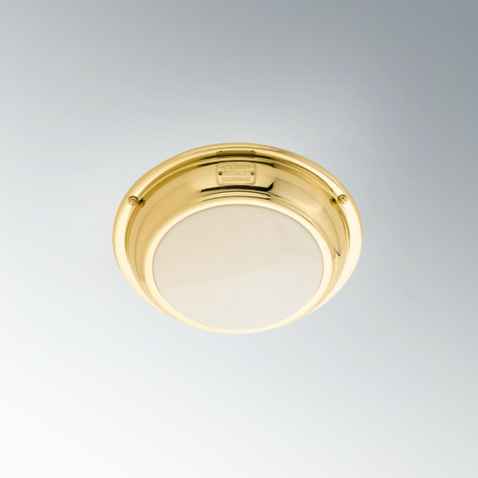 Anne Brass PVD